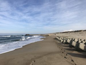 秋田からの帰り道　冬の日本海経由